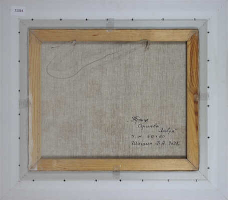 Шашин Фёдор Александрович. Троице-Сергиева Лавра 